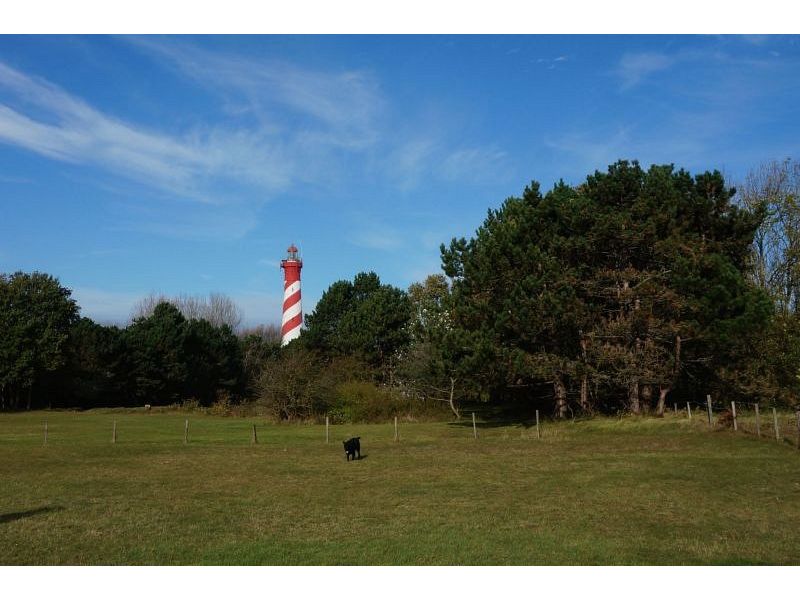 Westenschouwen, De Koolmees - Image 16