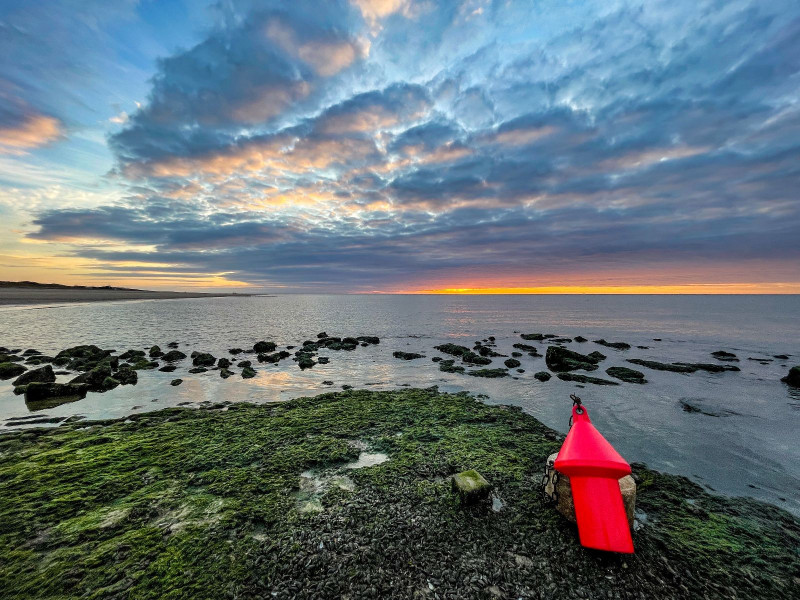 Renesse, Beachpark 65 - Image 27