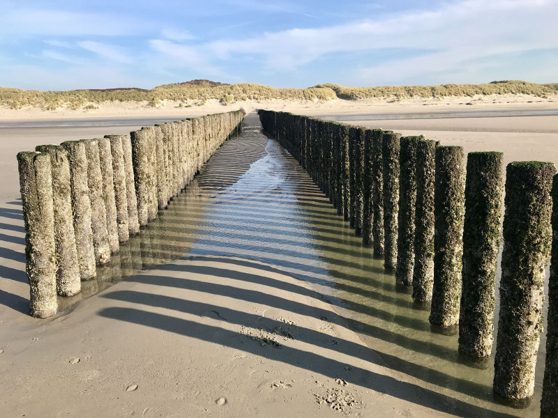 Renesse, Beachpark 65 - Image 23