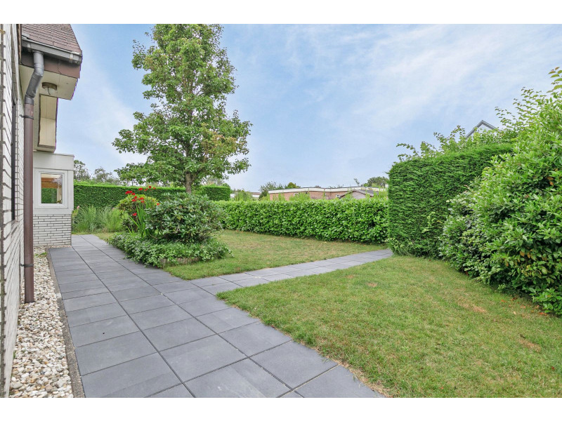 Renesse, Horizon 37 - Image 27