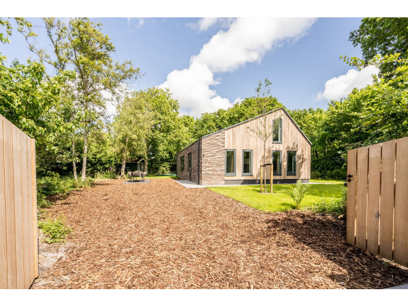 Renesse, Zeelicht - Image 20