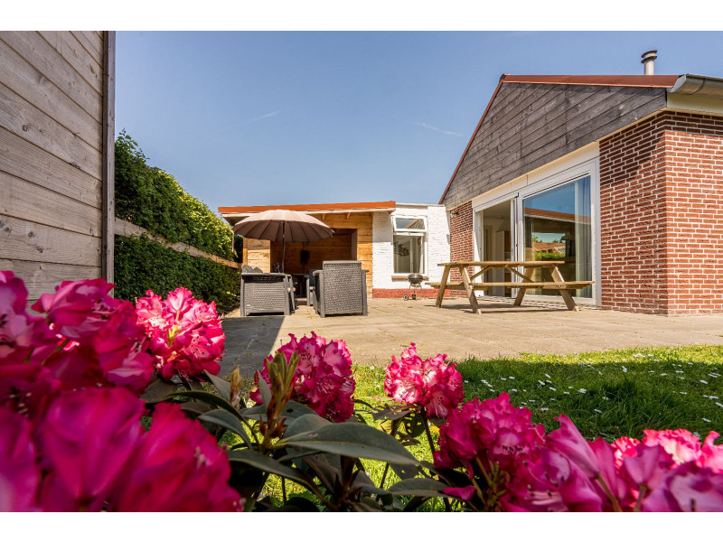 Renesse, Horizon 81 - Image 16