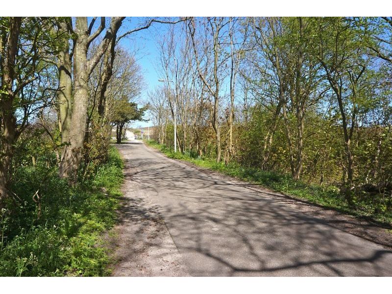 Renesse, Onder 't Hoge Duin - Image 22