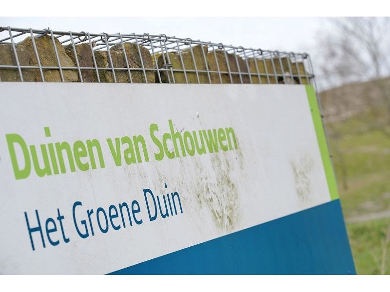 Burgh-Haamstede, Burghduin 1 - Image 27