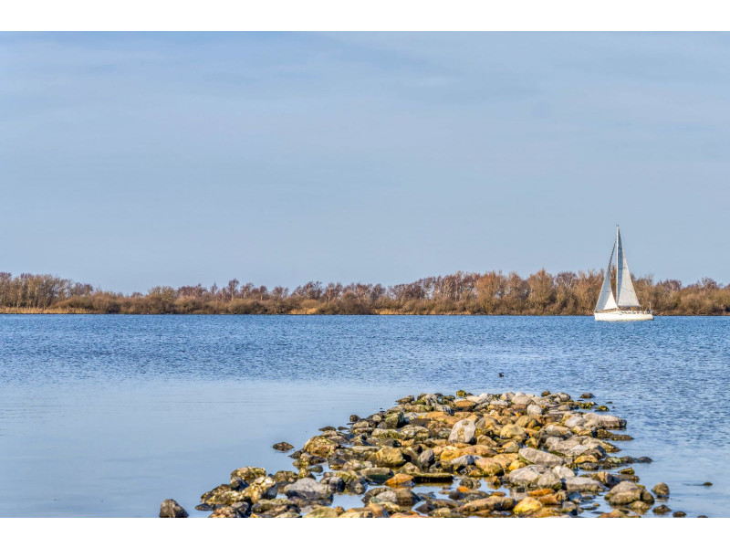 Zonnemaire, De Boterbloem - Image 20