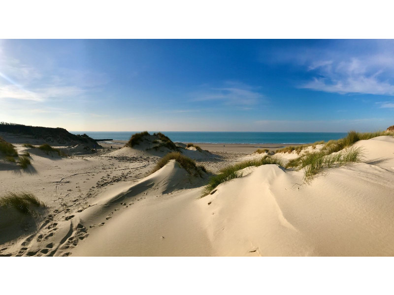 Renesse, Beachpark 65 - Image 22