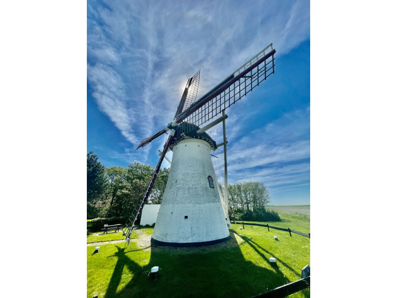 Renesse, Beachpark 65 - Image 25