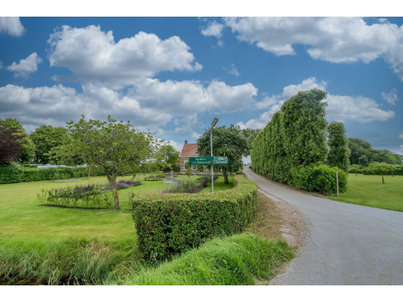 Zonnemaire, Akkerwinde - Image 19