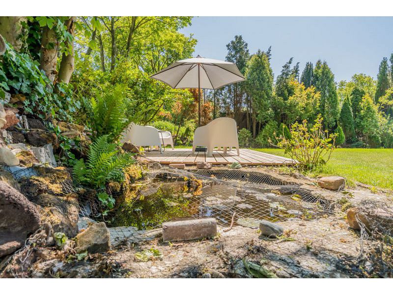 Renesse, De Patrijs - Image 28